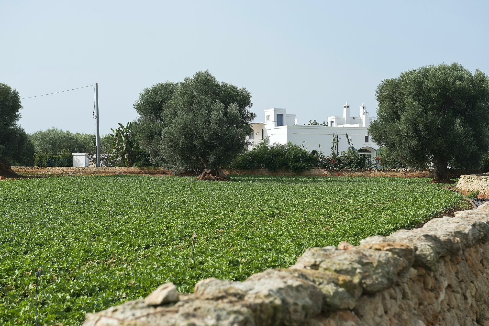 Masseria Don Luigi-Luxury Farmhouse Savelletri Ngoại thất bức ảnh